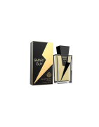 Smart Guy - 100ml Eau de Toilette for Gents